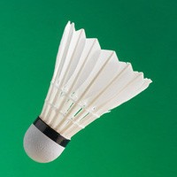 双阳羽球圈